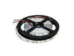 LED Riba NEXTEC 3000K 9.6 W/m 120LED/m 24V IP20 (LS43)