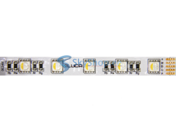 LED Лента LUCA RGBW 19.2W/m 60LED/m 24V IP20 (LS49)