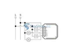 Switch Module NEXTEC Wi-Fi 2CH PD032884 (RC19)