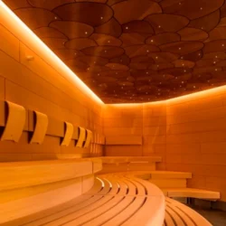 LED Strip NEXTEC 3000K 4.8W/m 60LED/m 24V IP68 (LS58)