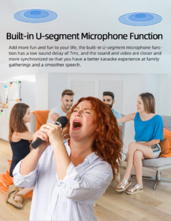 Kõrgekvaliteediline multifunktsionaalne Bluetooth laekõlar 2 x 60W (CS-4)