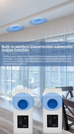 Kõrgekvaliteediline multifunktsionaalne Bluetooth laekõlar 2 x 60W (CS-4)