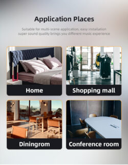 Kõrgekvaliteediline multifunktsionaalne WiFi laekõlarid 2 x 60W (CS-4)