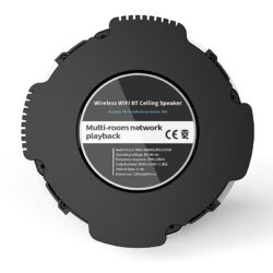 Kõrgekvaliteediline multifunktsionaalne WiFi laekõlarid 2 x 60W (CS-4)